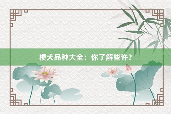 梗犬品种大全：你了解些许？